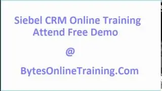 Siebel CRM Online training