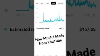 How Much I Made from YouTube 