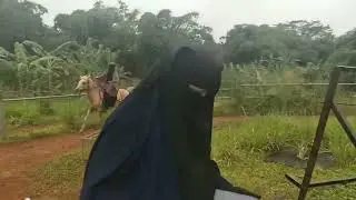 filem ga jelas di aplot gemana to....?