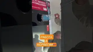РАБОТА В НОРВЕГИИ🤯 