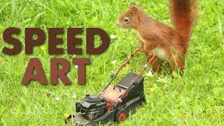 Eichhörnchen Mäht Rasen - Speedart Photoshop CS6
