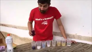 Escola de Verão