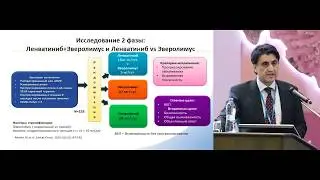 Рак почки: оптимальная последовательность иммуно- и таргетной терапии