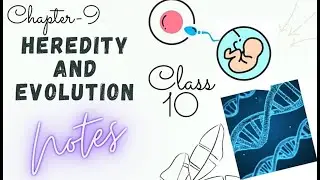 || NOTES FOR CH-HEREDITY AND EVOLUTION || CLASS-10 || BIOLOGY🌈||