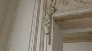 5. 