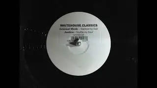 Rave Music - Criminal Mindz Baptized By Dub