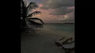 banners - have you ever loved someone (lyrics)