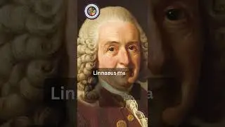 Carl Linnaeus