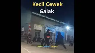 Sambung Pesilat Usia Dini Putri Galak