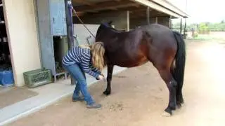 A Day At The Barn + a race!