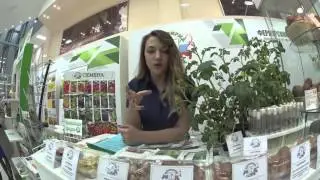 Овощкульт 2016
