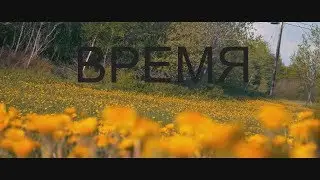 САМОЕ СЧАСТЛИВОЕ ВРЕМЯ В ЖИЗНИ ЧЕЛОВЕКА