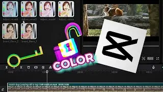 CAPCUT guarda TUS COLORES haz PRESET