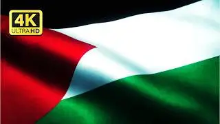 Palestine Flag Waving in 4K 🇵🇸 ~ Palestinian Flag Animation [FREE TO USE]