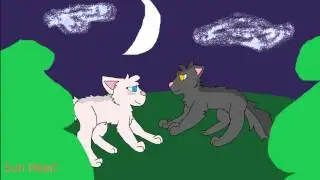 Strangers GreyXSilver MAP | For ShadowPonyArtist