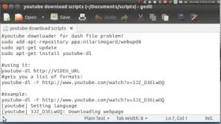 Ubuntu Basics youtube dash work around