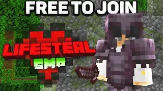 New BEST Public Minecraft Lifesteal SMP (1.17-1.19)