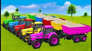 HARVESTING PARSNIP,  PLOW & LOAD WITH CASE & UNIVERSAL TRACTORS - Farming Simulator 22