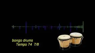 BONGO DRUMS TEMPO  74  7/8