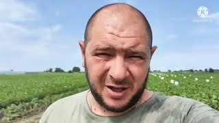 Молодая свекла, лучшая на Юге России.