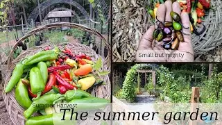 Let's make the best of it. | Comfrey Infused Oil| Garden Harvest|   #growyourownfood