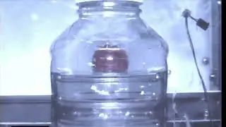 NASA WING | Ping Pong Ball on Water (POW) Drop Tower Experiment