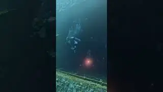 Дайвинг. Паром...