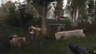 The Zone Solves the Same Problems it Presents