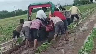 taktar🤣 &  બળદ🔥  #balad #farming #બળદ