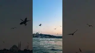 Kendin için yaşa.