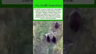 Una familia inesperada
