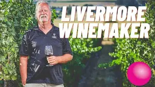Hippie Winemaker Makes AMAZING Wine! 🥂🍷🍇