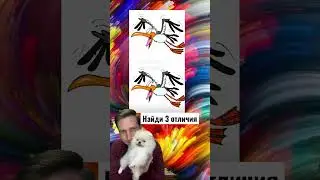 Найди 3 отличия 🤔🙀🤣 
