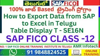 SAP FI Tables Explanation Company Code Table Display SE16N - General Documents Table Display T001