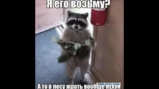 royal quest - Че нашел за 2 дня.