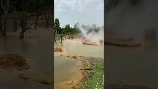 Абхазия , горячие источники сухум #абхазия #горячиеисточники  #природасочи