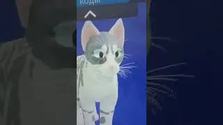 Я начала играть в коты воители!