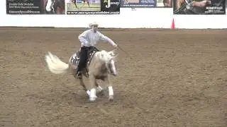 Mister Tinseltown ridden by Stefano Calcagnini - 2014 Heritage Futurity(Open Futurity)