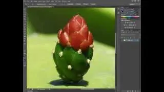 Photoshop - Isolate an Object or Part of and Image or Photo - Magic Lasso Tool