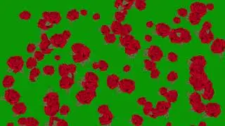 Rose Flowers Falling Animation : Free Green Screen Video : Chroma Key : Copyright Free