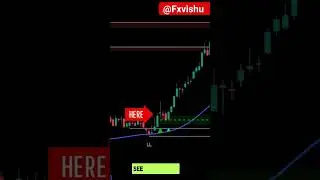 BEST TradingView Indicator for 2024 gets 97.8% WIN RATE [BEST SCALPING STRATEGY]