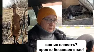 🟢Рассада🟢Новости хозяйства🟢О чиновниках🟢
