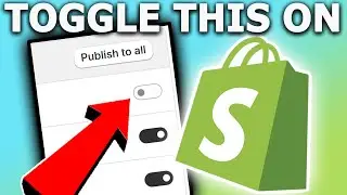 Why Are My Shopify Products Not Visible on My Website? Here’s the Fix You Missed