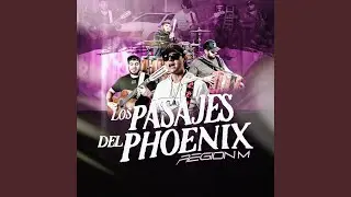 Pasajes Del Phoenix