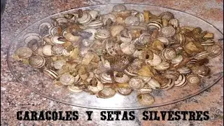 Caracoles y Setas Silvestres