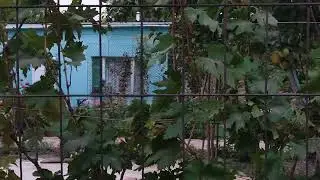 Вечера на хуторе близ Рассвета