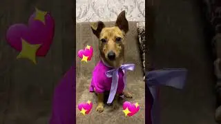 Красавица Бетти поздравляет   с праздником всех влюблённых ❤️!