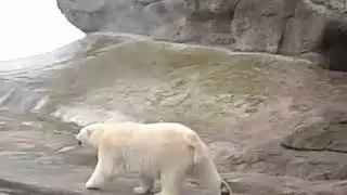 Московский зоопарк