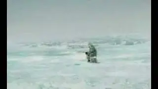 Pescador pescado