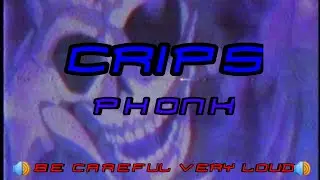 CRIPS - Phonk | Shalker Storm |